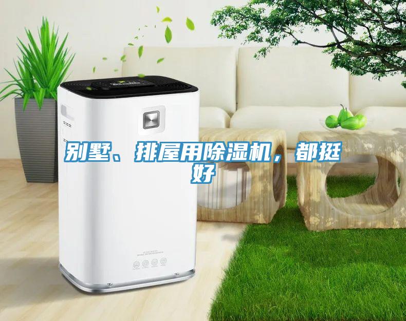 別墅、排屋用除濕機，都挺好
