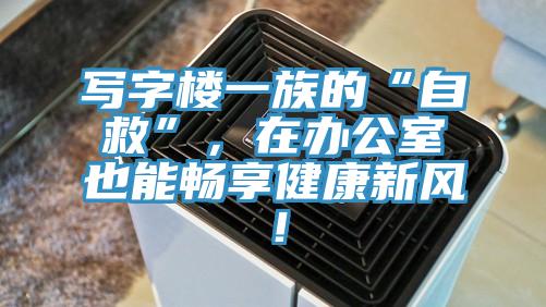 寫字樓一族的“自救”，在辦公室也能暢享健康新風(fēng)！