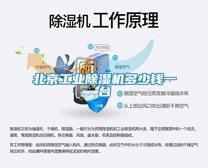 北京工業(yè)除濕機多少錢一臺