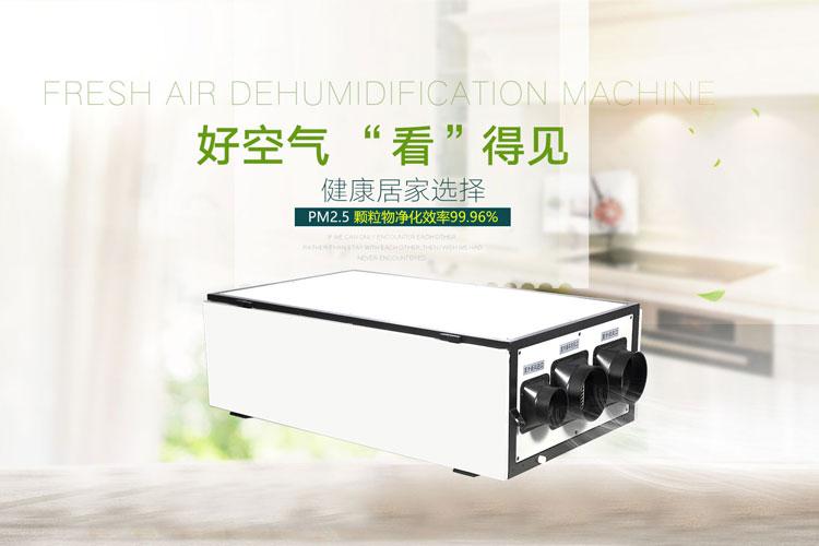 升溫型除濕機(jī)哪個(gè)品牌好，怎么選擇？